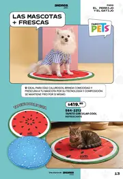 Catalogo Andrea Pets 2026 - página 13