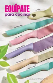 Arabela Campaña 17 2026 - página 4