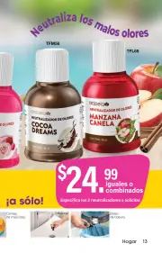 Arabela Campaña 17 2026 - página 13