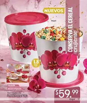 Catalogo Arabela Campaña 6 2026 Mexico - página 19