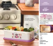 Catalogo Avon Casa & Estilo Ciclo 9 2026 México - página 17