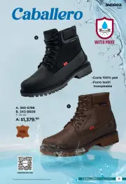 Botas de Lluvia Andrea | Colección 2026 | México - página 15
