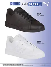 Cklass Colección Sport Brands Caballero Otoño 2026 - página 17
