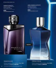 Catalogo Esika Campaña 8 2026 México - página 18