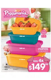 Fuller Campaña 6 2026 - página 5