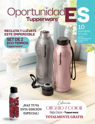 Oportunidades Tupperware 10 2026