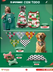 Rebajas Total Soriana Mercado | Al 25 junio 2026 - página 11