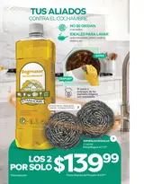 Stanhome Campaña 15 2026 - página 5