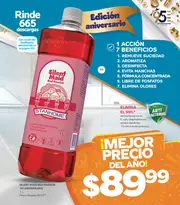 Stanhome Campaña 15 2026 - página 11