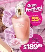Catalogo Stanhome Campaña 3 2026 México - página 7
