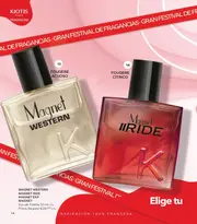 Catalogo Stanhome Campaña 3 2026 México - página 16