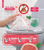 Catalogo Stanhome Campaña 4 2026 México - página 8