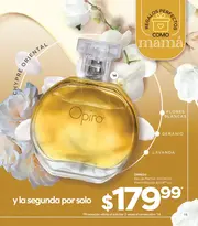 Catalogo Stanhome Campaña 7 2026 México - página 17
