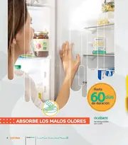 Catalogo Stanhome Campaña 8 2026 México - página 6