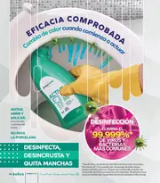 Catalogo Stanhome Campaña 8 2026 México - página 18