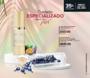 Terramar Julio 2026 | Mexico - página 15