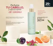 Terramar Julio 2026 | Mexico - página 19