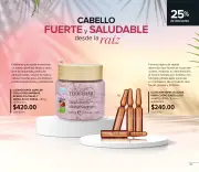 Terramar Julio 2026 | Mexico - página 21