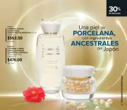 Catalogo Terramar Junio 2026 | México - página 19