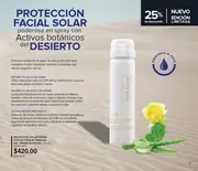 Catalogo Terramar Mayo 2026 - México - página 3