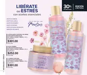 Catalogo Terramar Mayo 2026 - México - página 4