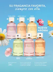 Catalogo Yves Rocher Campaña 6 2026 México - página 11