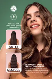 Catalogo Yves Rocher Campaña 7 2026 México - página 7