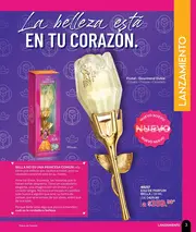 Catalogo Zermat Abril 2026 Mexico - página 3