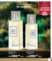 Zermat Junio 2026 | Catalogo México - página 13