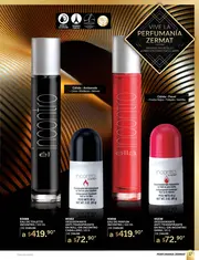 Catalogo Zermat Marzo 2026 Mexico - página 17